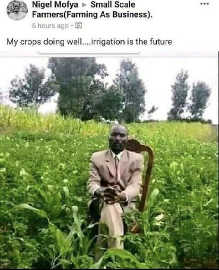 Small scale farmer sitting on chair in lush green field discussing crop irrigation