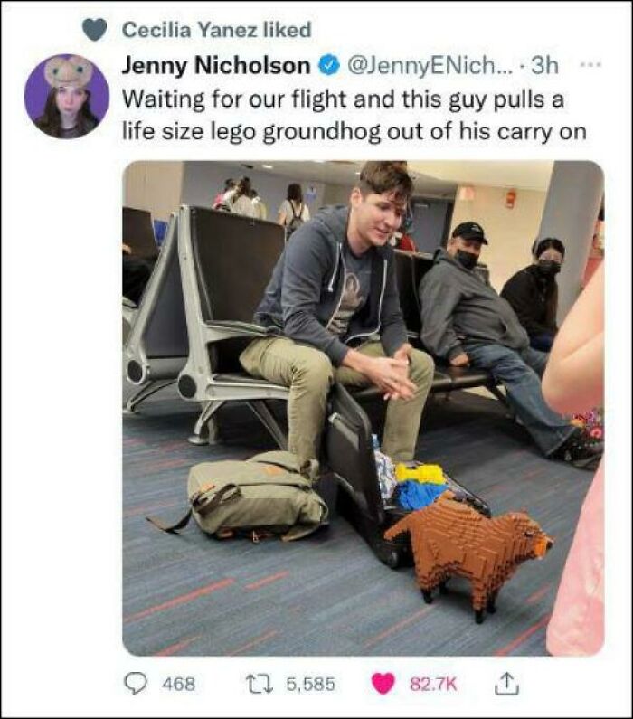 Man at airport pulls life-size Lego groundhog from carry-on bag