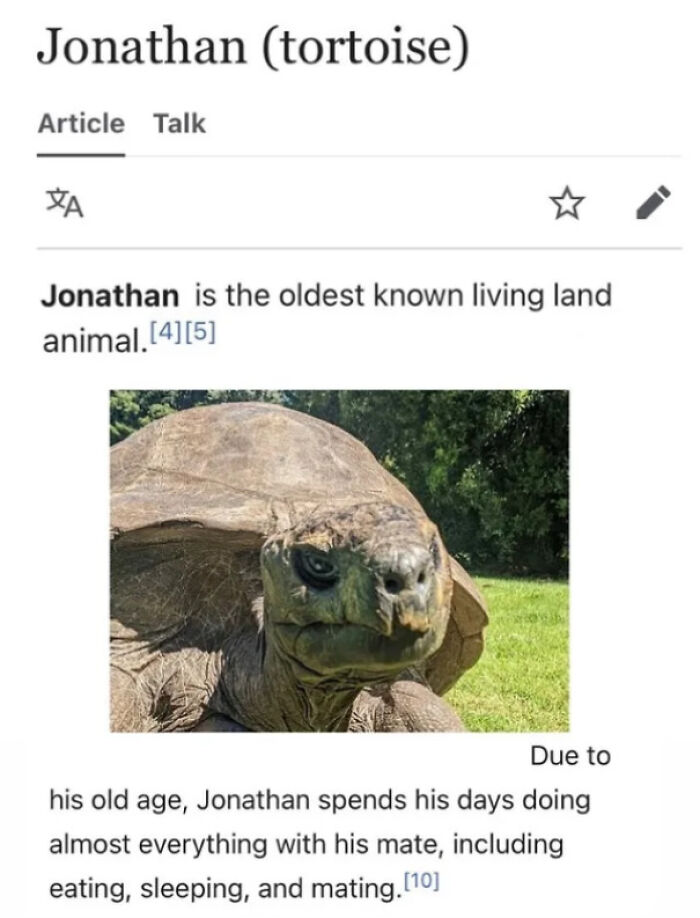 Jonathan the tortoise, oldest known living land animal in a grassy area