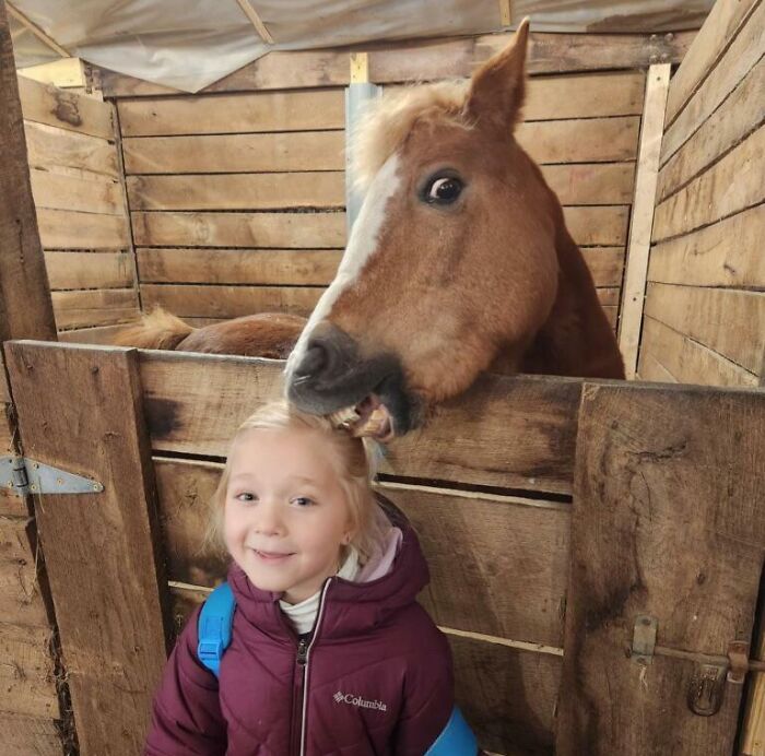 Horse making a funny face above a smiling girl in stable