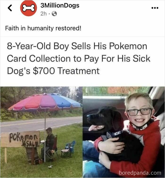 Boy sells Pokemon cards to pay for his sick dog's $700 treatment