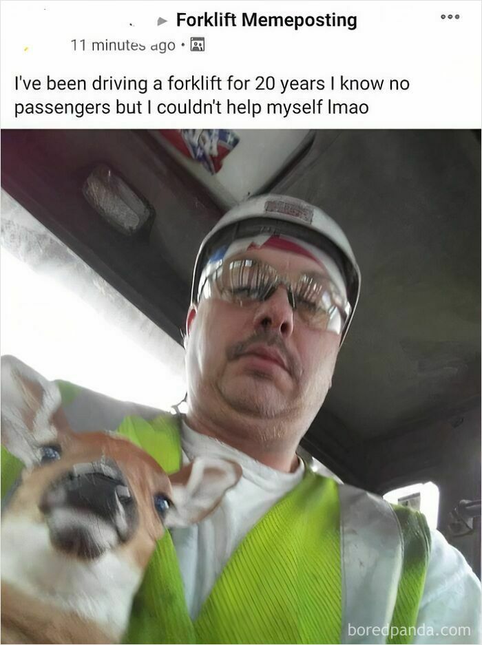 Forklift driver with dog admits giving rides despite no passengers