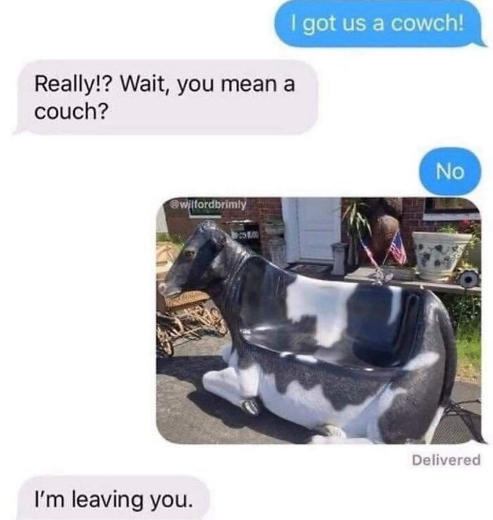 Funny random memes text about buying a cow couch with cow-shaped seat