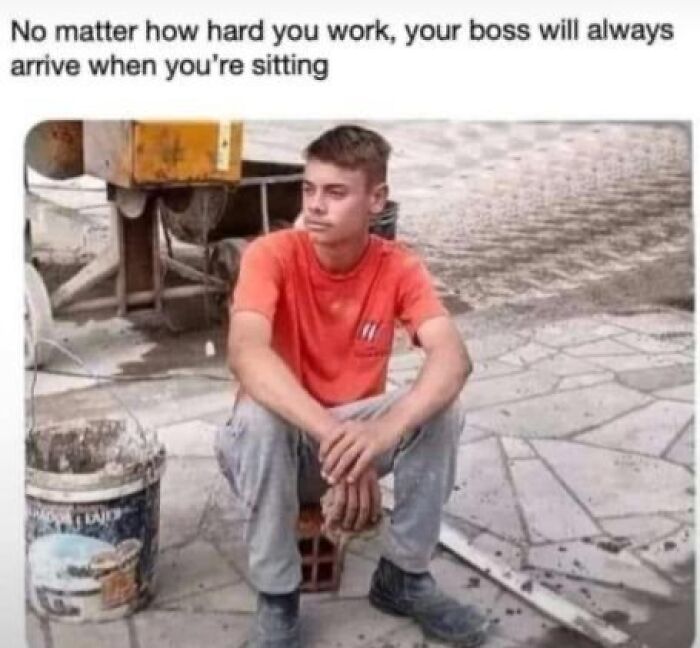 Random memes workers relate to boss arriving when sitting down