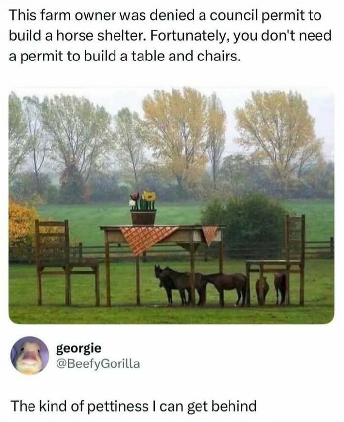 Farm owner builds table and chairs as horse shelter prank meme