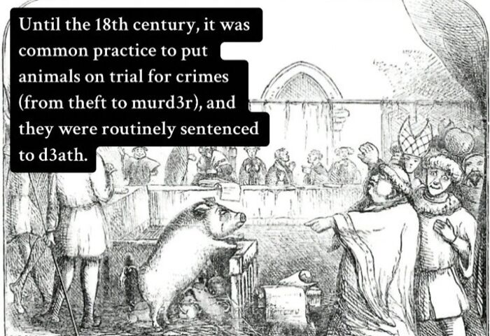 18th century practice of putting animals on trial for crimes and sentencing to d***h