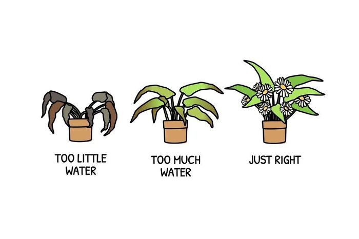 Artist Creates Uplifting Illustrations That Turn Everyday Struggles Into Simple Life Lessons (30 New Pics)