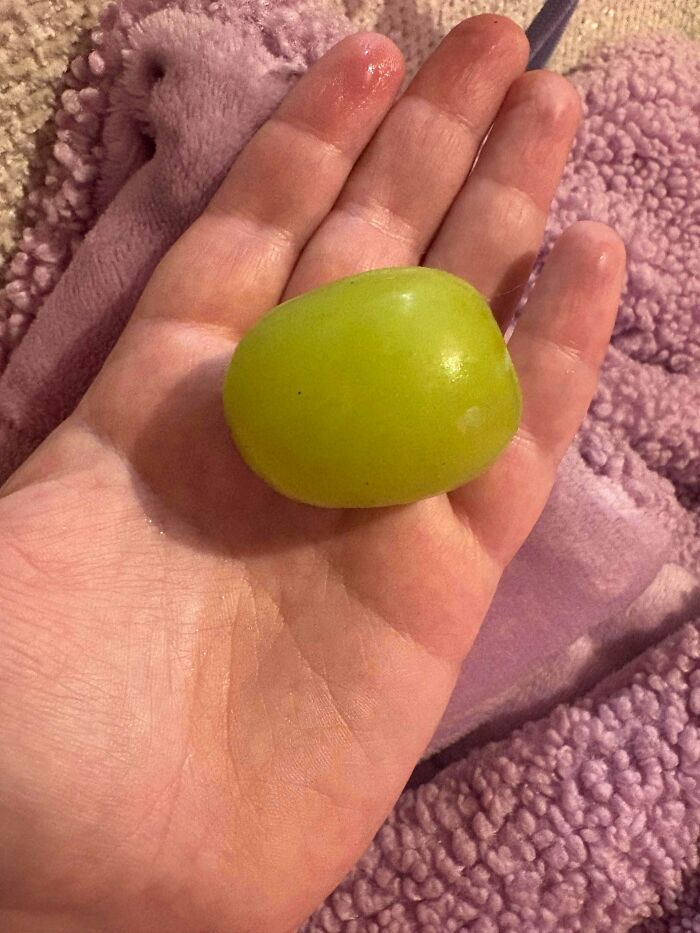 A hand holding a large green grape, illustrating interesting posts that an Aussie might understand.