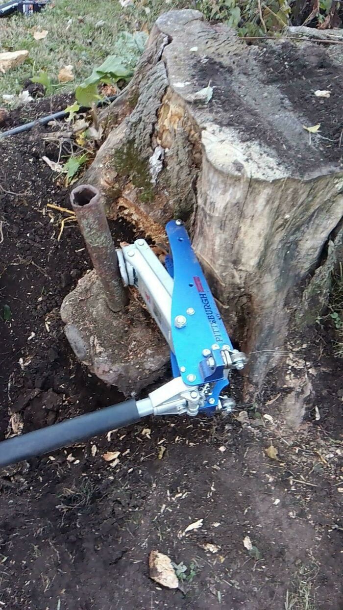 A tree stump being pulled out of the ground using a blue jack and a metal pole. A clever solution for stubborn junk.