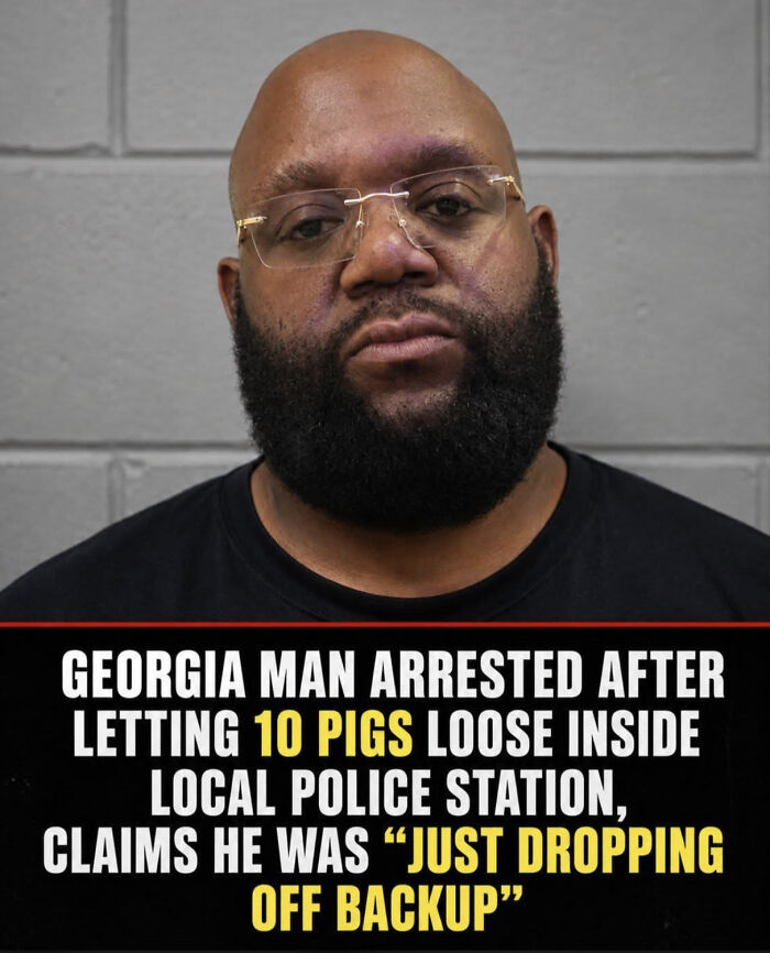Mugshot of a Georgia man arrested for letting pigs loose in a police station, a chaotic good act.