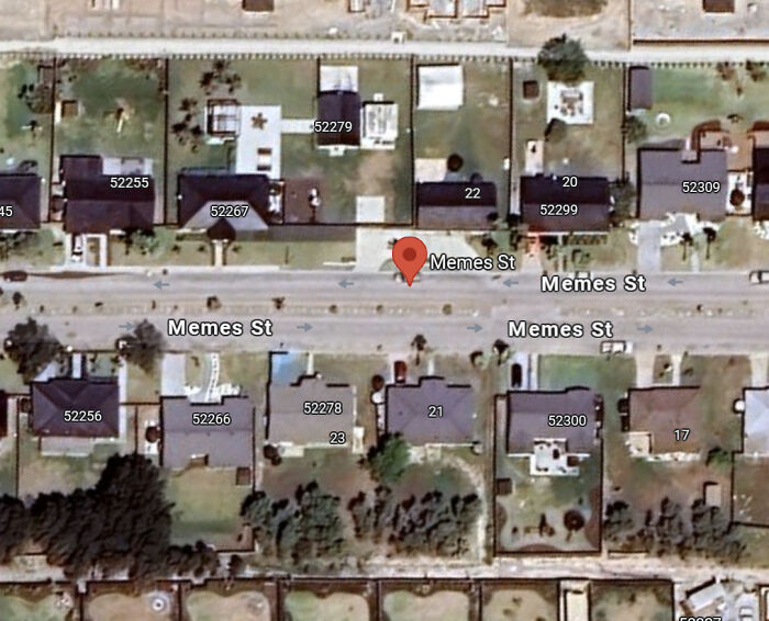 Google Maps dog on driveway captured in a funny Google Maps shenanigans photo
