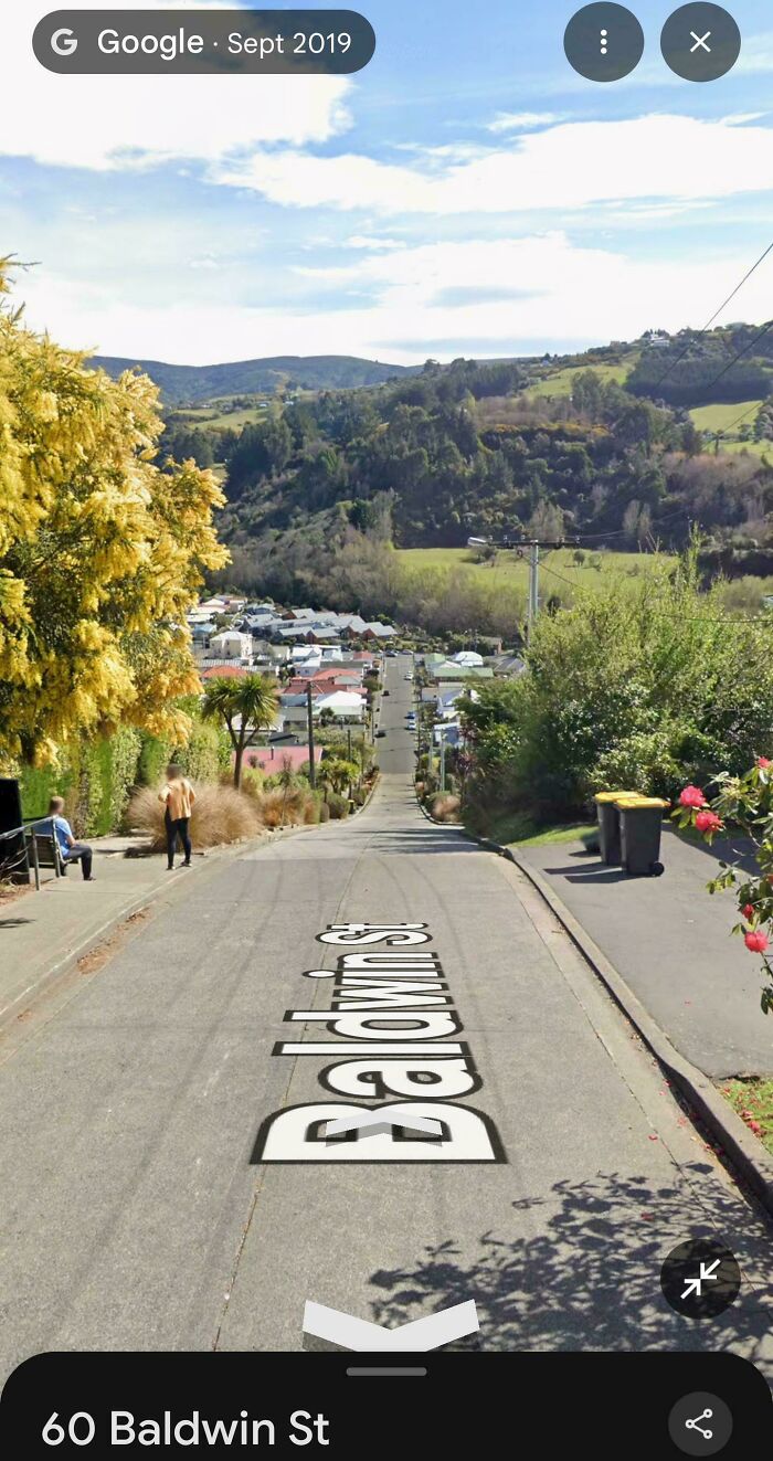 Street view of steep Baldwin St with houses and greenery from Google Maps