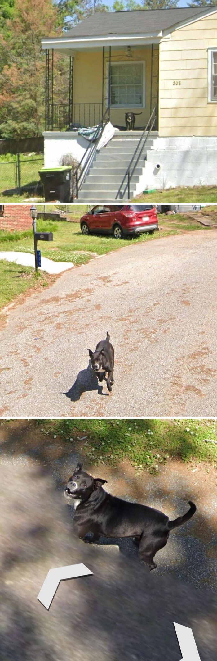 Google Maps image of a black dog on porch and street in Google Maps shenanigans