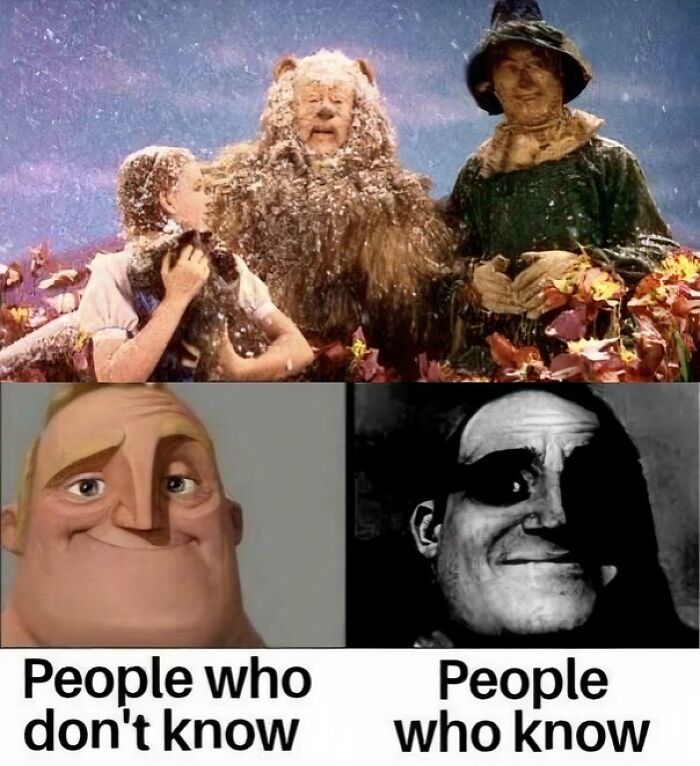 Comparison meme showing characters from Wizard of Oz and Mr. Incredible for people who know or don't know