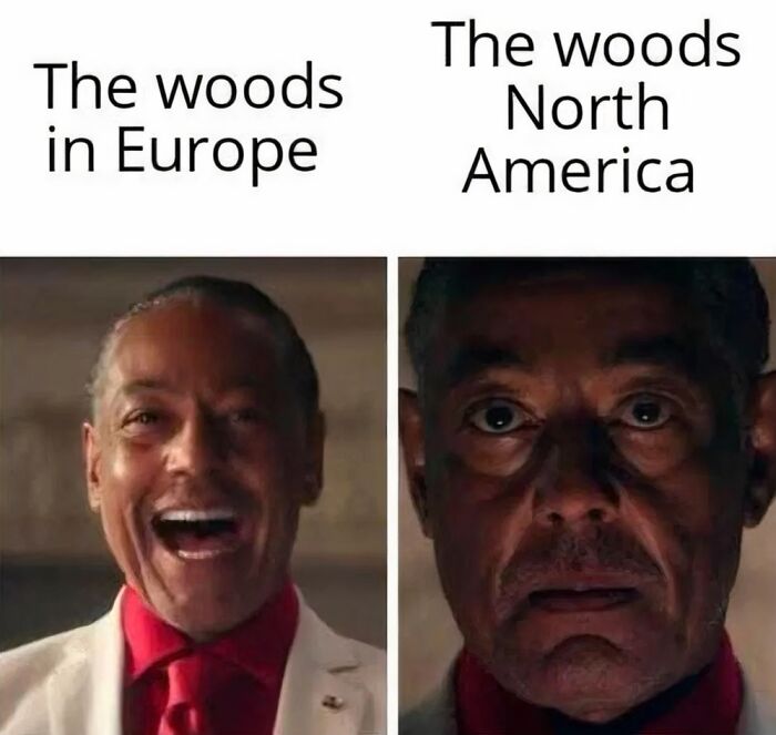 Contrast of woods in Europe versus North America with serious and smiling faces internet content