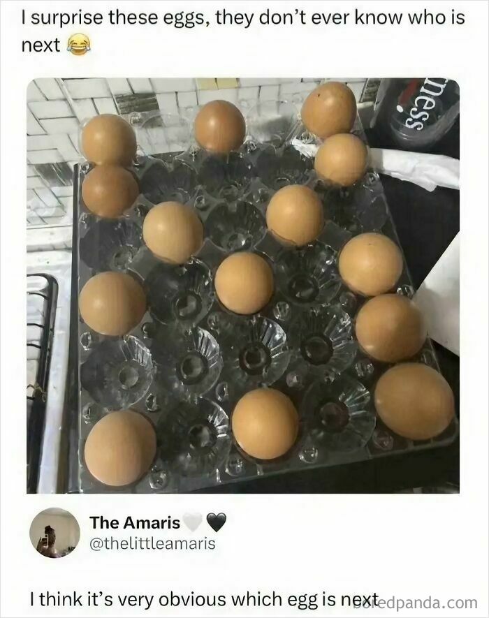 Cartoon photo of eggs in carton with caption about guessing which egg is next to be used
