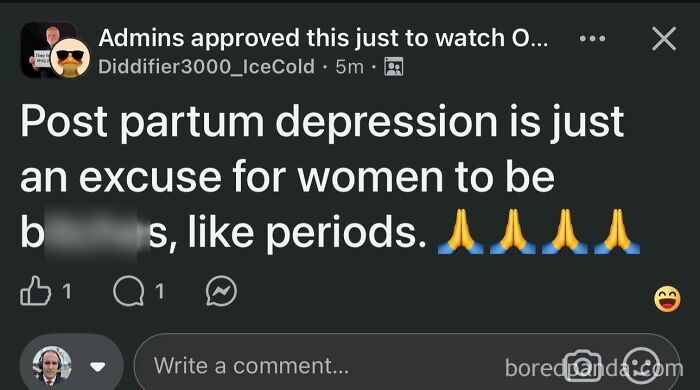 Post claiming postpartum depression is an excuse for women, with controversial comments