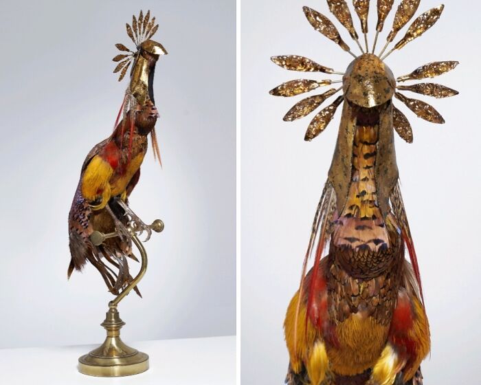 Here Are 18 Surreal Bug Fairies Made From Dead Insects Made By This Amsterdam-Based Artist