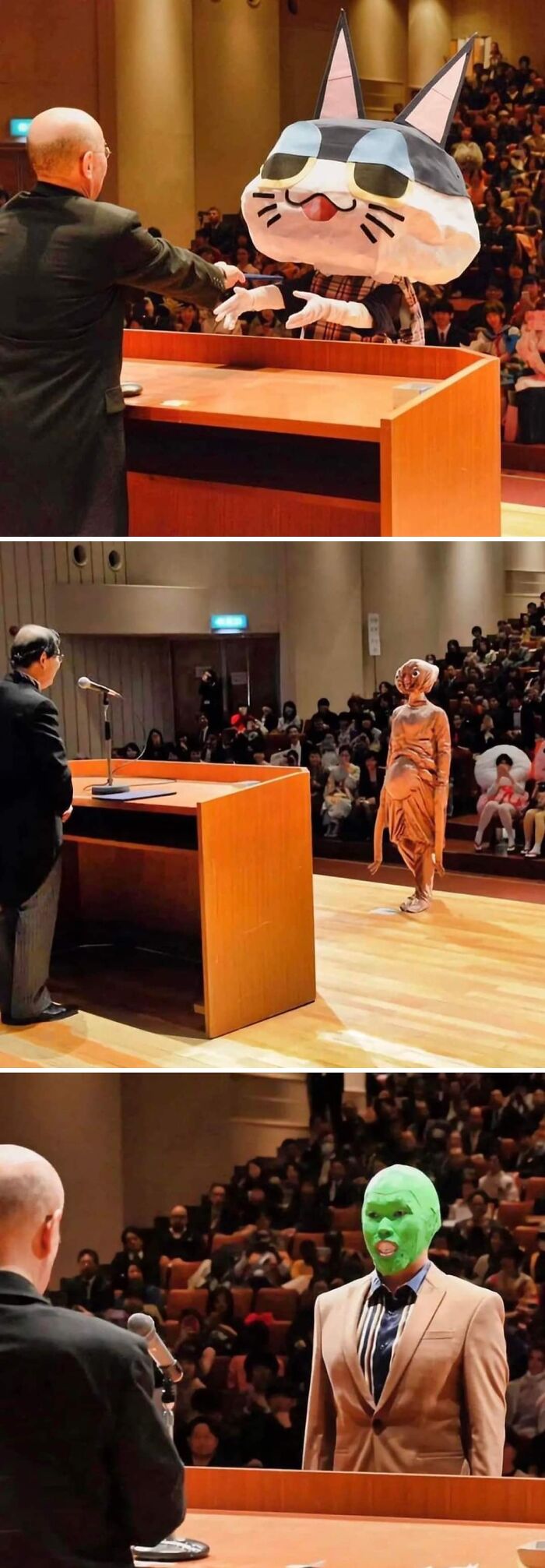 Ceremonial event with person in therapy cat costume and audience in university auditorium