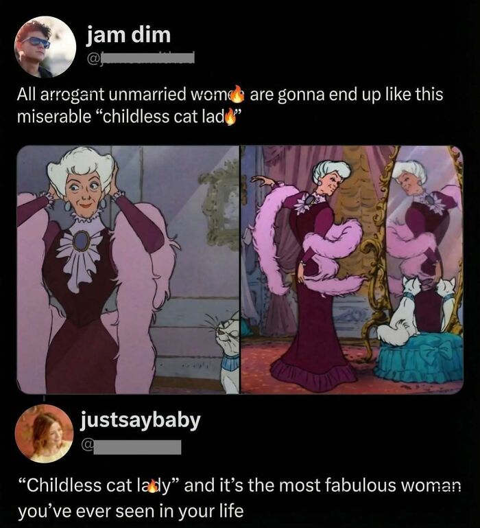 Clever comment on childless cat lady with animated cat images