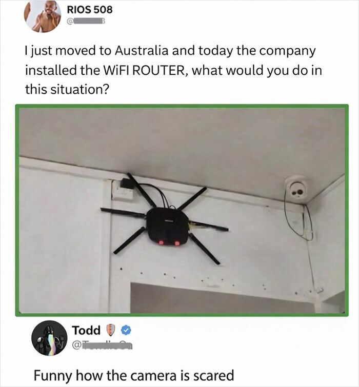 Humorous WiFi router that looks like a spider installed on ceiling