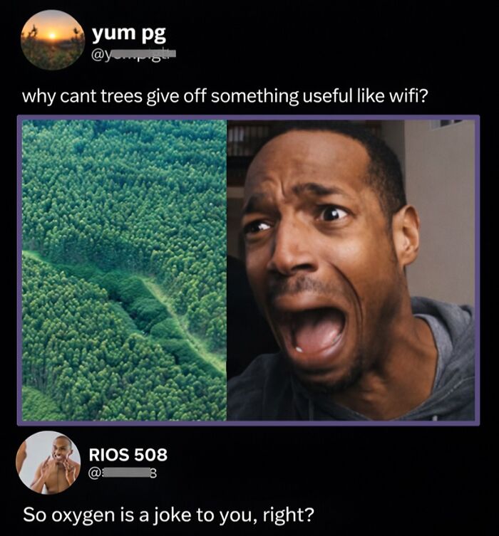 Savage comment about trees giving off wifi and clever oxygen joke reply
