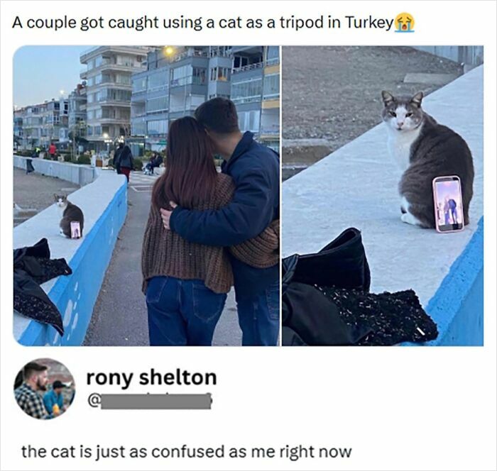 Funny post about couple using a cat as a tripod in Turkey