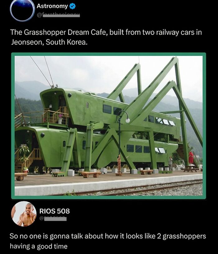 The Grasshopper Dream Cafe in South Korea with funny clever social media comment