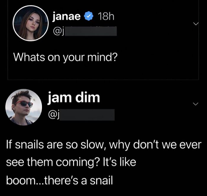 Clever comment about snails being so slow we never see them approach in witty tweet
