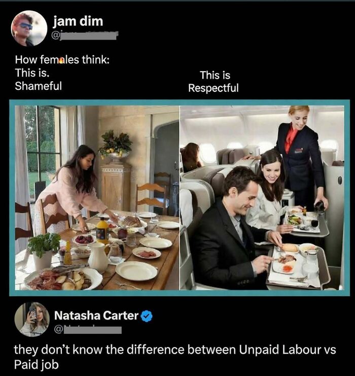 Savage comment comparing unpaid labor vs paid job with images of domestic and paid work