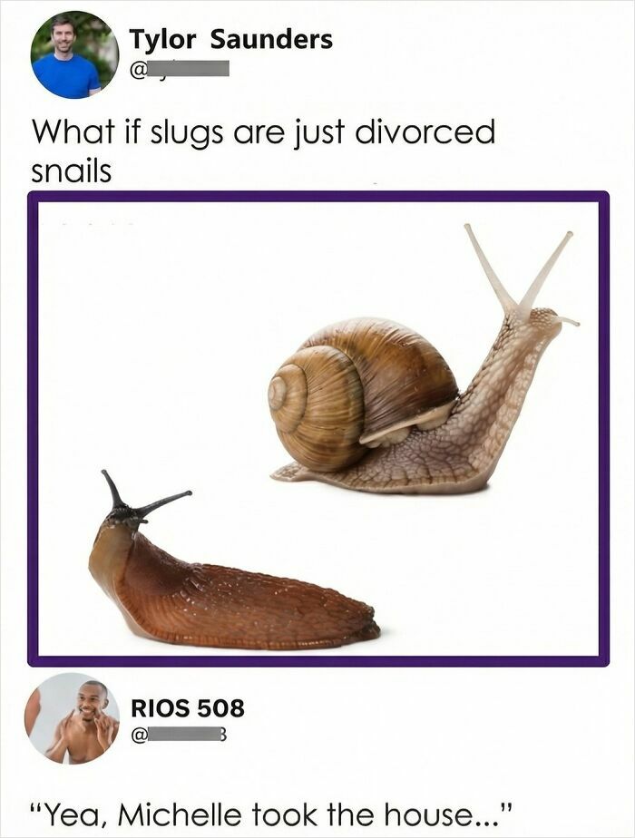 Funny tweet about slugs being divorced snails with photos of slug and snail