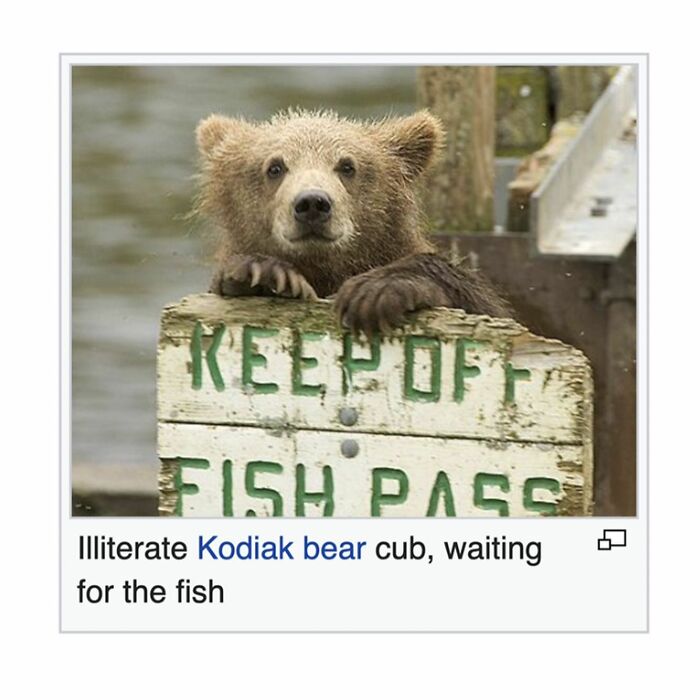 42 Animal Posts From “Depths Of Wikipedia” That Prove Nature Is Stranger Than Fiction