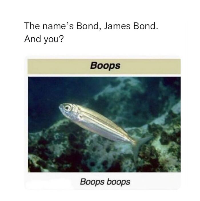 42 Animal Posts From “Depths Of Wikipedia” That Prove Nature Is Stranger Than Fiction