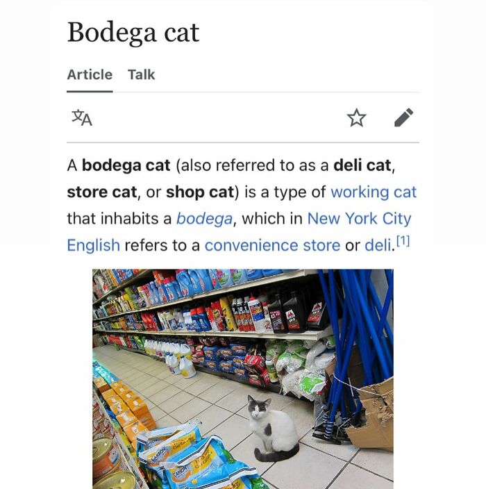 42 Animal Posts From “Depths Of Wikipedia” That Prove Nature Is Stranger Than Fiction