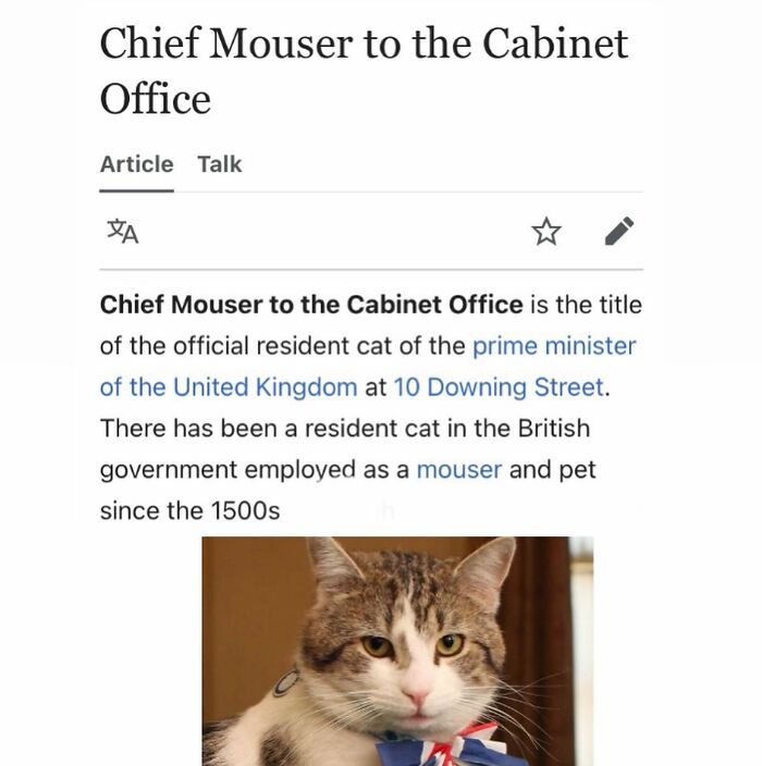 42 Animal Posts From “Depths Of Wikipedia” That Prove Nature Is Stranger Than Fiction