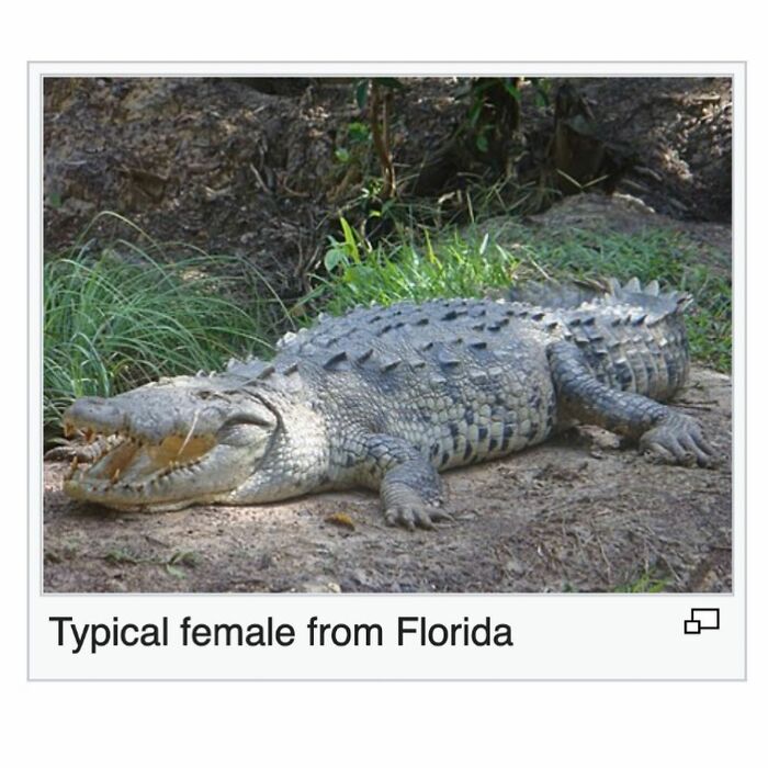 42 Animal Posts From “Depths Of Wikipedia” That Prove Nature Is Stranger Than Fiction