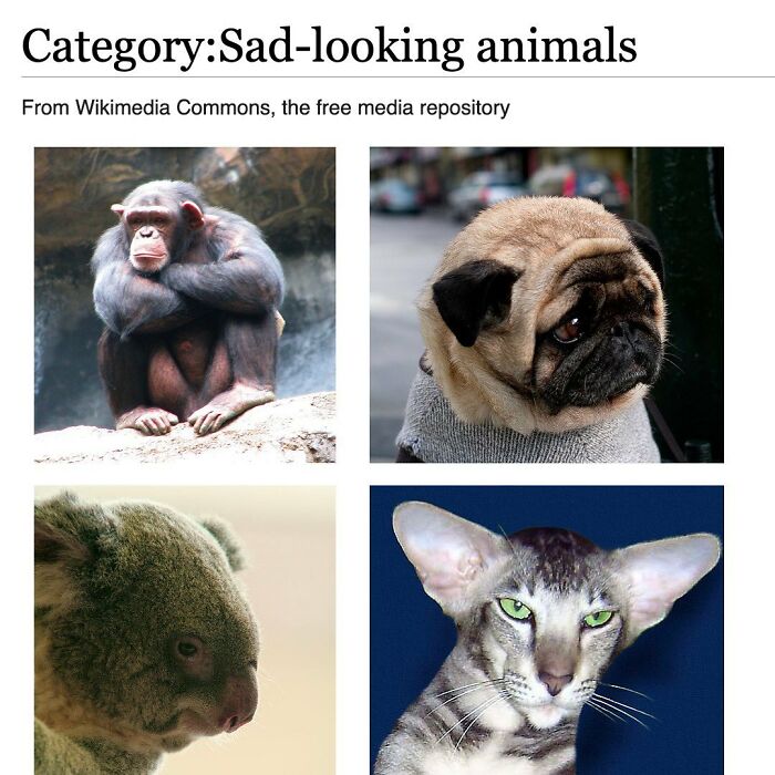 42 Animal Posts From “Depths Of Wikipedia” That Prove Nature Is Stranger Than Fiction