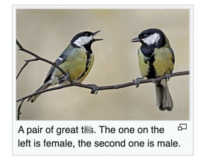 42 Animal Posts From “Depths Of Wikipedia” That Prove Nature Is Stranger Than Fiction