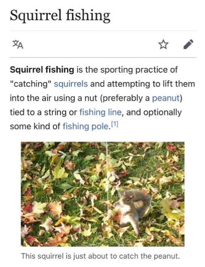 42 Animal Posts From “Depths Of Wikipedia” That Prove Nature Is Stranger Than Fiction