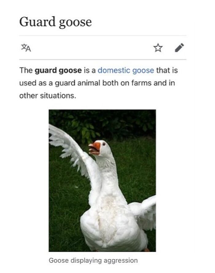 42 Animal Posts From “Depths Of Wikipedia” That Prove Nature Is Stranger Than Fiction
