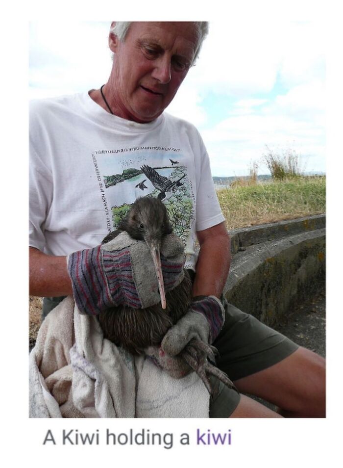 42 Animal Posts From “Depths Of Wikipedia” That Prove Nature Is Stranger Than Fiction