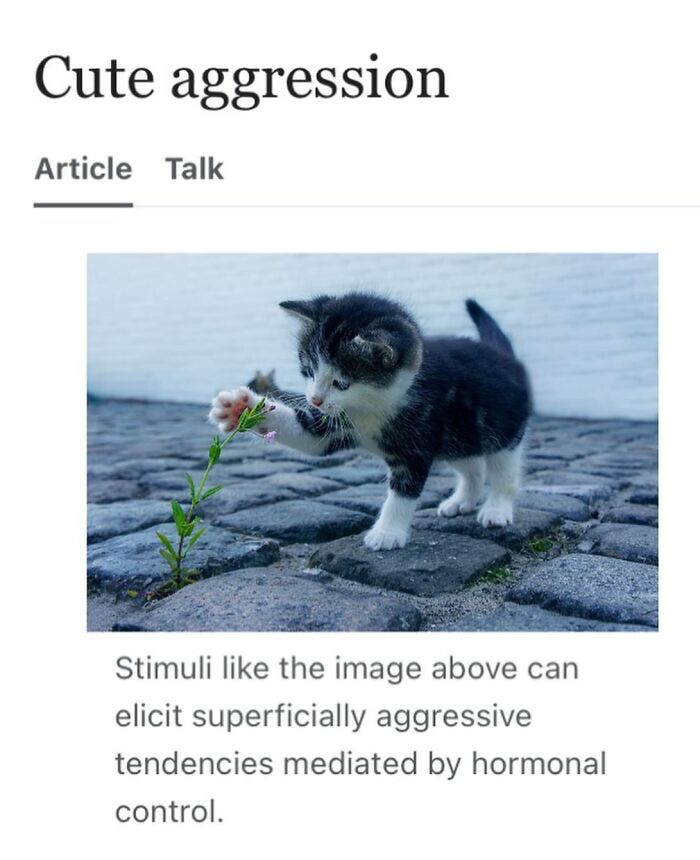 42 Animal Posts From “Depths Of Wikipedia” That Prove Nature Is Stranger Than Fiction