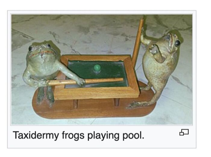 42 Animal Posts From “Depths Of Wikipedia” That Prove Nature Is Stranger Than Fiction