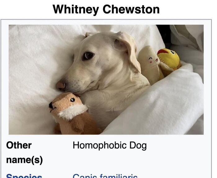 42 Animal Posts From “Depths Of Wikipedia” That Prove Nature Is Stranger Than Fiction