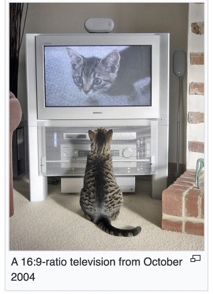 42 Animal Posts From “Depths Of Wikipedia” That Prove Nature Is Stranger Than Fiction