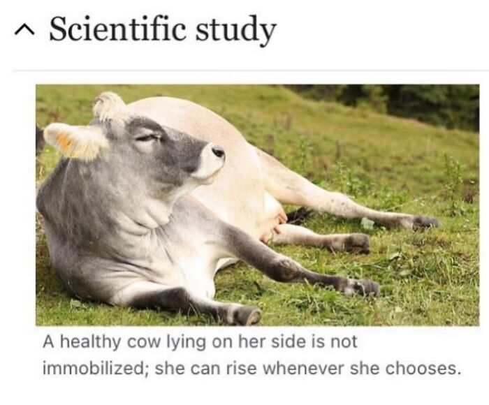 42 Animal Posts From “Depths Of Wikipedia” That Prove Nature Is Stranger Than Fiction