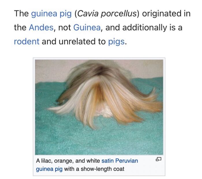 42 Animal Posts From “Depths Of Wikipedia” That Prove Nature Is Stranger Than Fiction