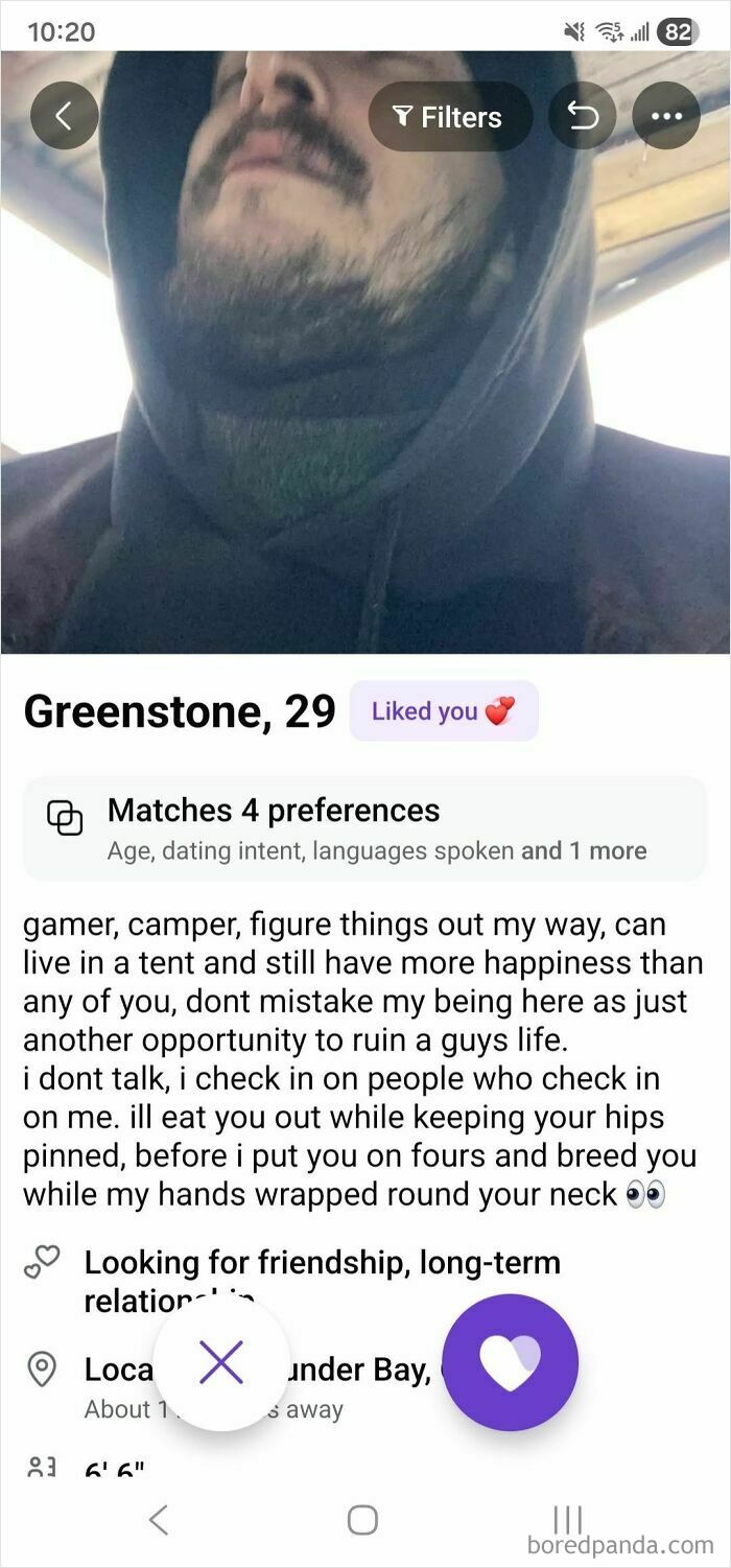 Dating profile of Greenstone, 29, describing interests and relationship goals