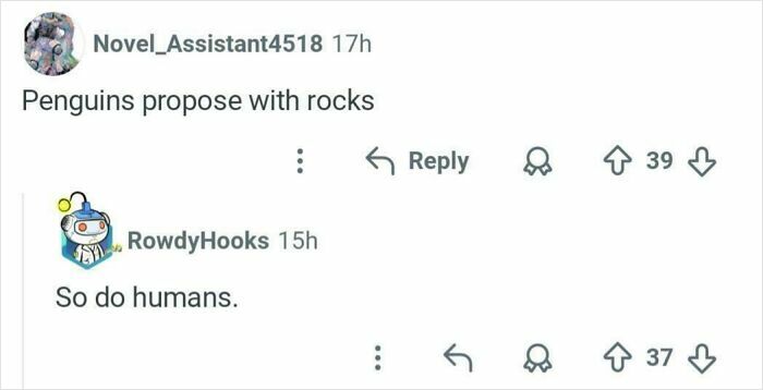 Funny internet comment about penguins proposing with rocks and humans doing the same