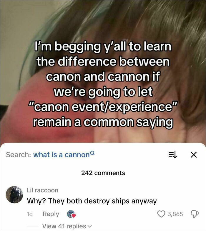 Text urging to learn difference between canon and cannon with humorous comment